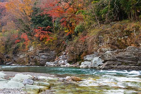 Tsushima211202