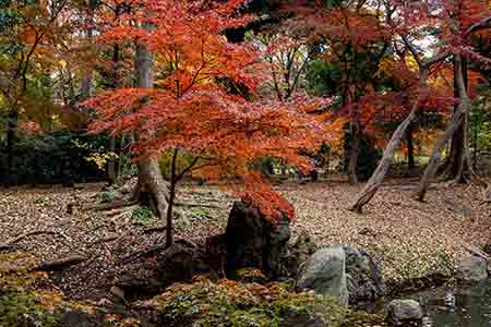 Akihama220101