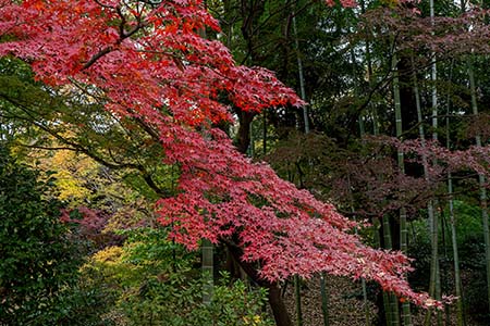 Akihama220102