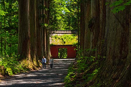 tsushima220603