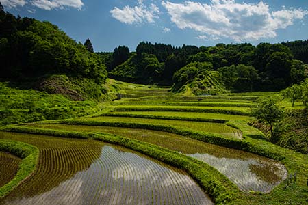 tsushima220604