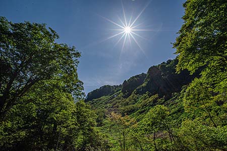 tsushima220703