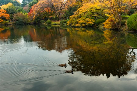 tsushima221202