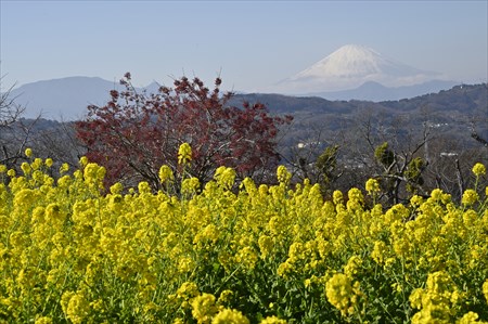 kokubo230103