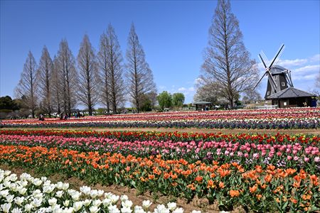 kokubo250404